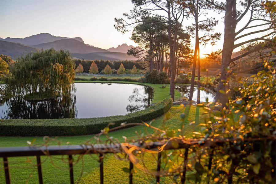 Private Winelands Immersive Experience Full Day - Rhebokskloof and the appeal of chocolate with wine