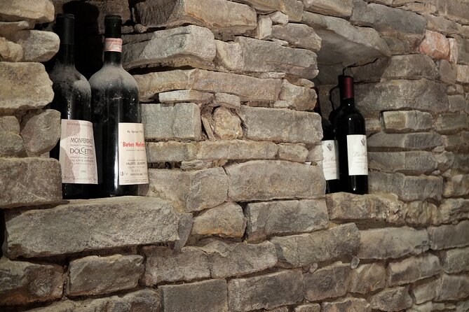 Private Winery and Vineyard Tour with Wine Tasting - Tasting Piedmont wine with a proper food plate