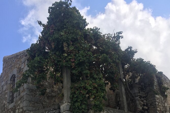 PRIVATE-Winery+Olive Oil Factory-Old Villages-Old Wind Mills - Mountain roads, vineyards, and old windmills
