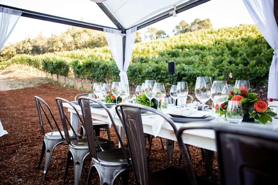 Private winery tour - The Saint-Tropez finale above the Gulf