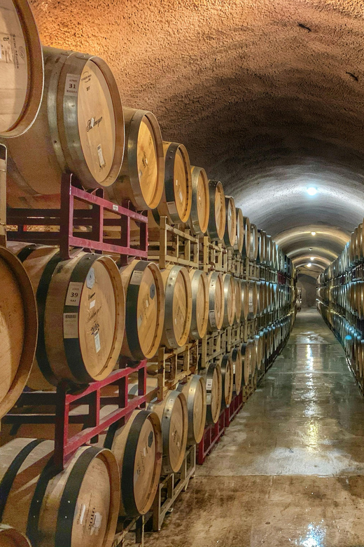 Private winery tour - Who will enjoy this day most