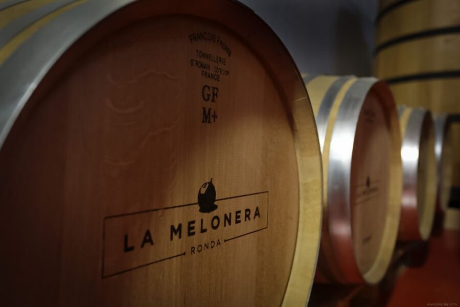 Private Winery Tour and Visit to Ronda - Key points to know before booking