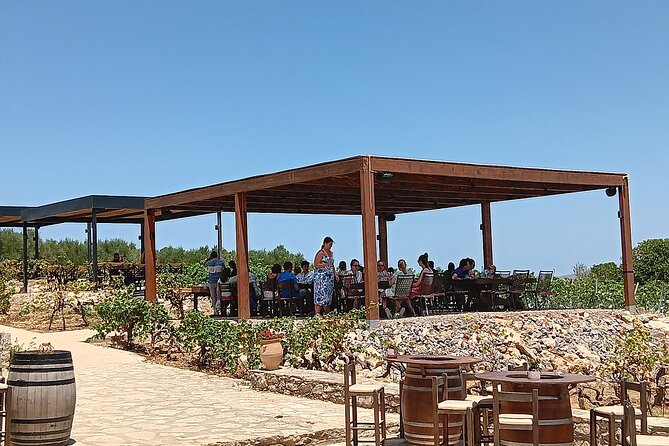 Private Winery Tour with Olive Oil, Honey & Raki Distillery Visit - Is $290.36 per person fair?