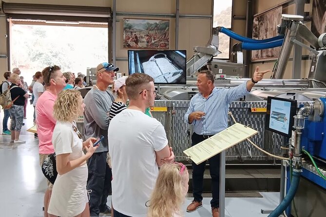 Private Winery Tour with Olive Oil, Honey & Raki Distillery Visit - Who should book this experience?