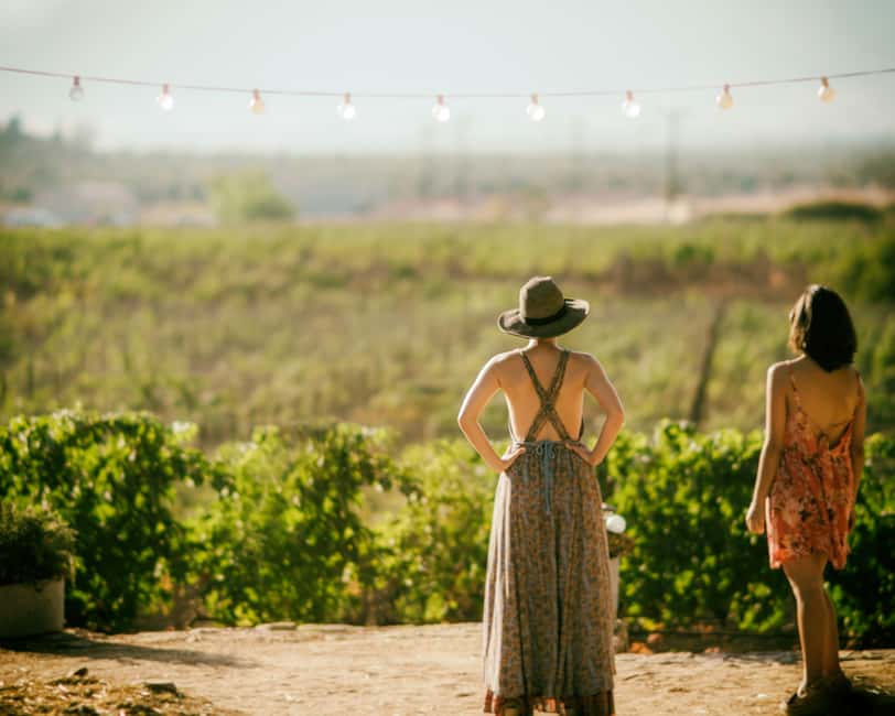 Private winery tour - What happens at the handpicked estates
