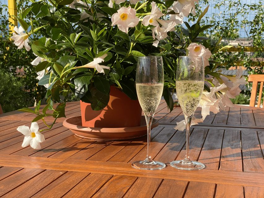 Prosecco Hills Private Tour All inclusive. 2 wineries+lunch - First tasting: four Proseccos with local snacks