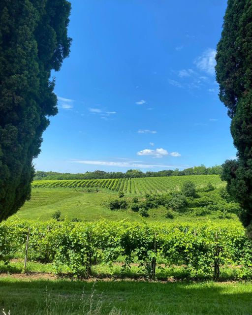 Prosecco Hills Private Tour All inclusive. 2 wineries+lunch - Who should book this Prosecco day