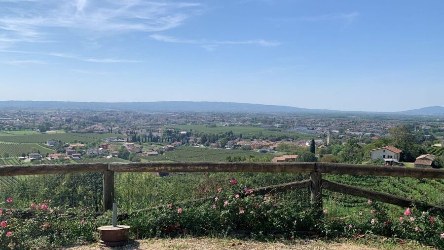 Prosecco Hills Private Tour All inclusive. 2 wineries+lunch - Should you book the Prosecco Hills tour?