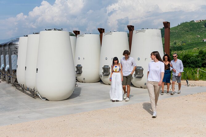 Prosecco tasting, appetizers and tour of the cellar and vineyards - What Cartizze means in the Prosecco world