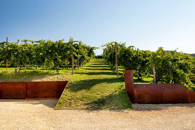 Prosecco tasting, appetizers and tour of the cellar and vineyards - Comparing Brut, Dry, and organic Cartizze
