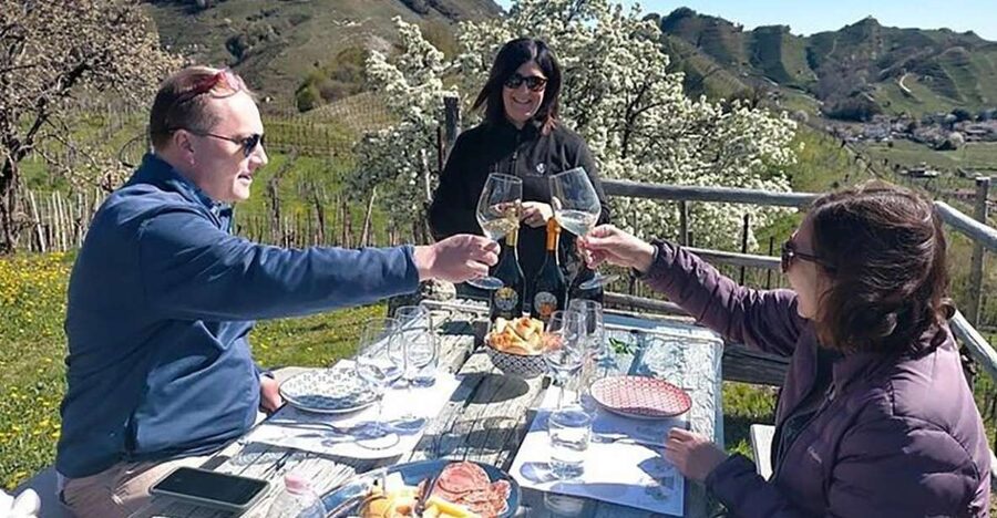Prosecco Wine Tour. Full Day - 2 Wineries. From Venice - Key points before you book