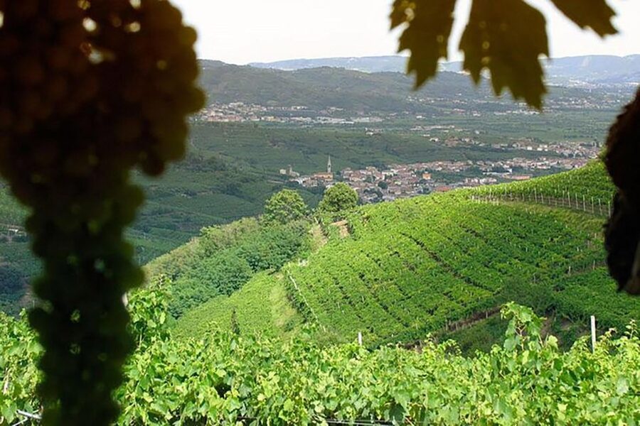 Prosecco Wine Tour. Full Day - 2 Wineries. From Venice - Four styles, one useful tasting lesson