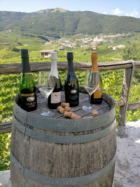 Prosecco Wine Tour. Full Day - 2 Wineries. From Venice - Who should book this day?