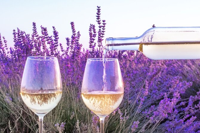 Provence Small Group Wine Full Day Tour in Chateauneuf du Pape vineyard from Aix - The second estate and a useful contrast