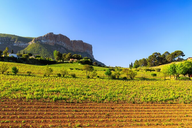 Provence Small Group Wine Full Day Tour in Chateauneuf du Pape vineyard from Aix - Who should book this day?