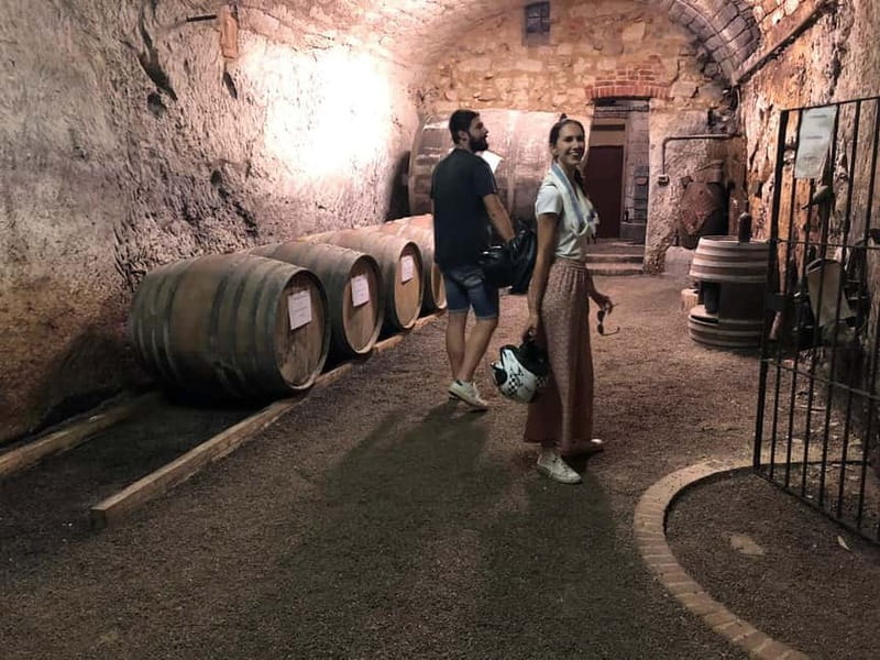 Quad & E-Bike - Monferrato Hills - Unesco Cellars Tour - The quad ride through vineyards and forest