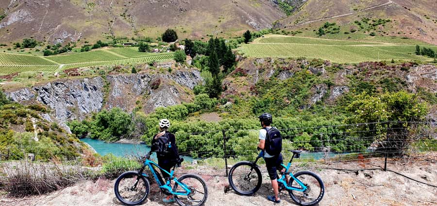 Queenstown: Guided E-Bike Tour with Winery Visits & Tastings - Key points to know before you book