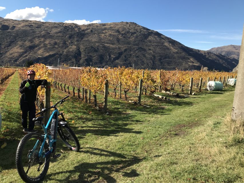 Queenstown: Guided E-Bike Tour with Winery Visits & Tastings - Who should book, and who should think twice