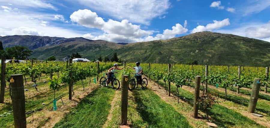 Queenstown: Guided E-Bike Tour with Winery Visits & Tastings - Why this six-hour ride works so well