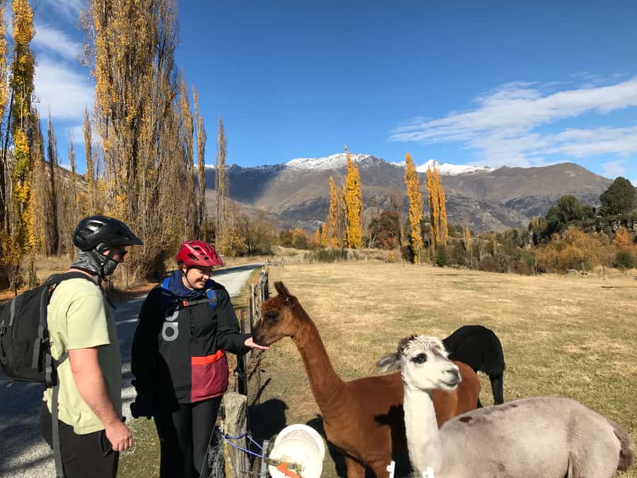 Queenstown: Guided E-Bike Tour with Winery Visits & Tastings - Along the Arrow and Kawarau rivers