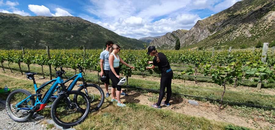 Queenstown: Guided E-Bike Tour with Winery Visits & Tastings - Starting in Frankton and reaching Arrowtown