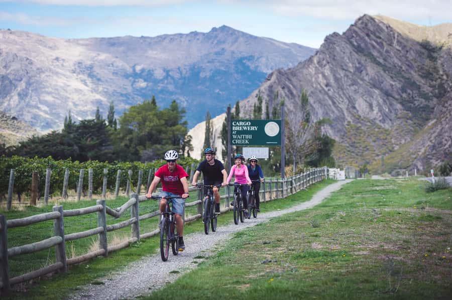 Queenstown: Self-Guided Gibbston Valley Wineries Bike Tour - Bike fitting, route advice, and the e-bike decision
