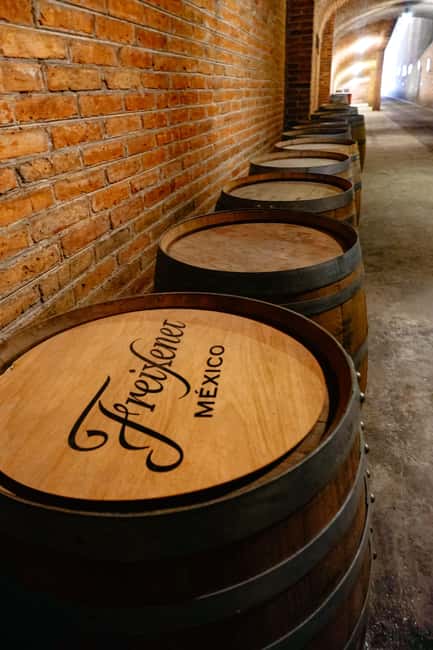 Querétaro: Art, Cheese and Wine Route - Freixenet México and the Doña Dolores cellar