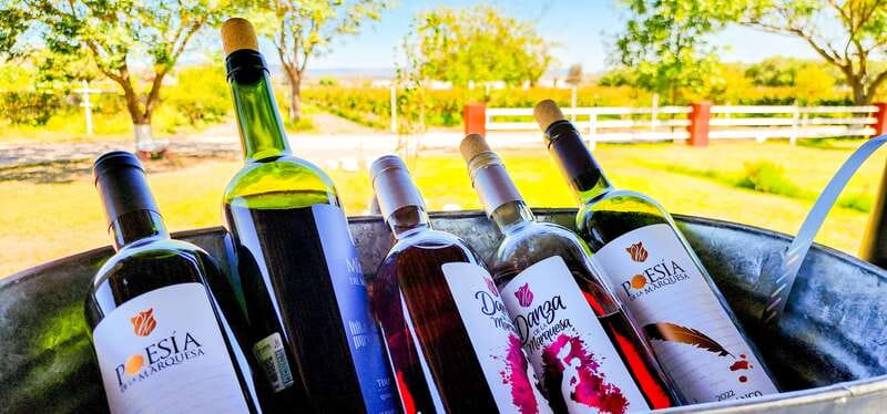 Querétaro: Haciendas, Vineyards, and Magical Towns Day Trip - Who gets the best value from this tour?