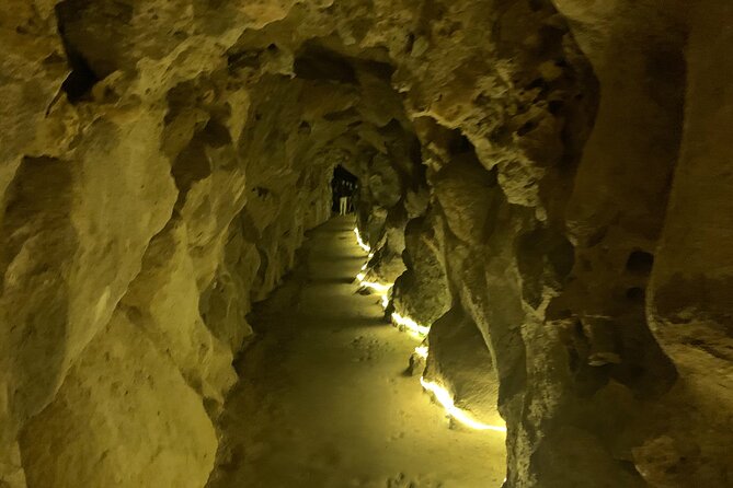 Quinta da Regaleira and Visit to Sintra Private Half Day Tour - Who should book this Sintra tour?