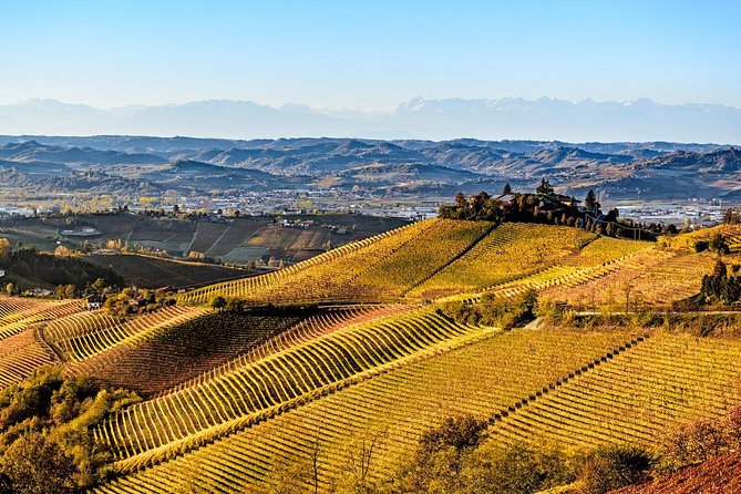 Radda in Chianti: Wine Tasting Tour with lunch at the Winery - Key points at a glance