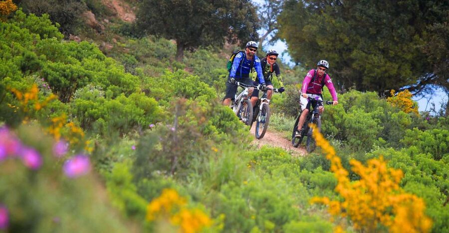 Ramatuelle: Tracks & Tasting Winery Tour by Mountain E-Bike - Reaching Saint-Tropez during the three-hour ride