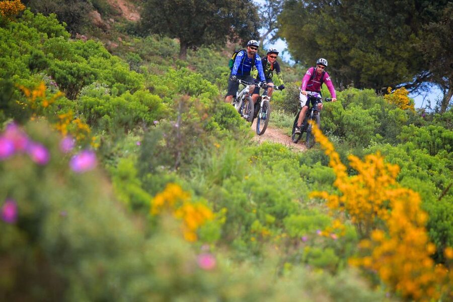 Ramatuelle: Tracks & Tasting Winery Tour by Mountain E-Bike - Who should book this ride