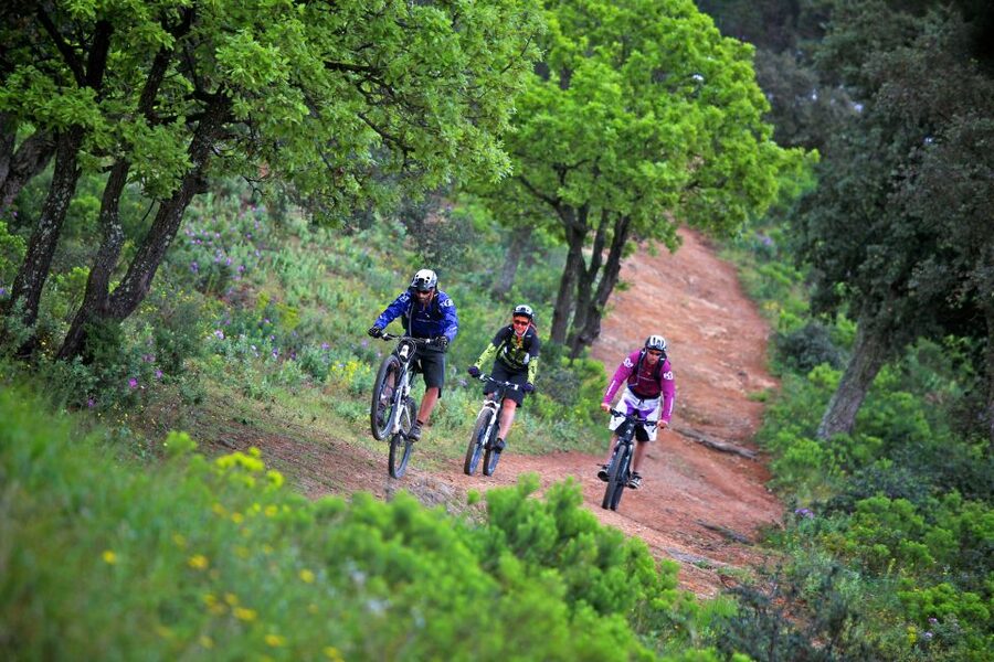 Ramatuelle: Tracks & Tasting Winery Tour by Mountain E-Bike - Riding the forest tracks around Ramatuelle