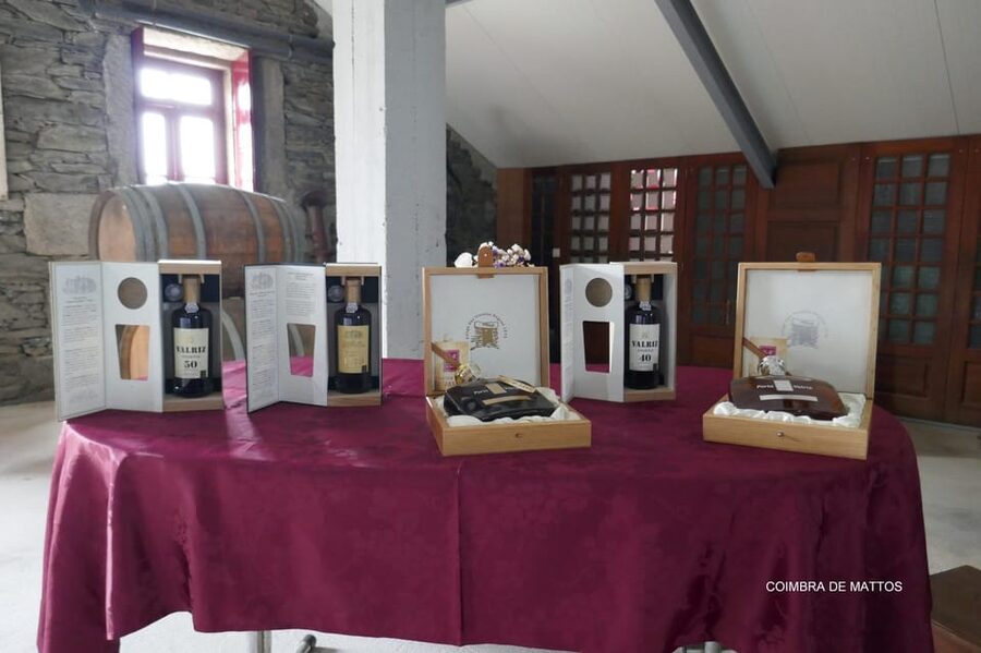 Régua: Wine tasting at a Quinta, traditional lunch, cruise, and train ride - What makes this Douro day special