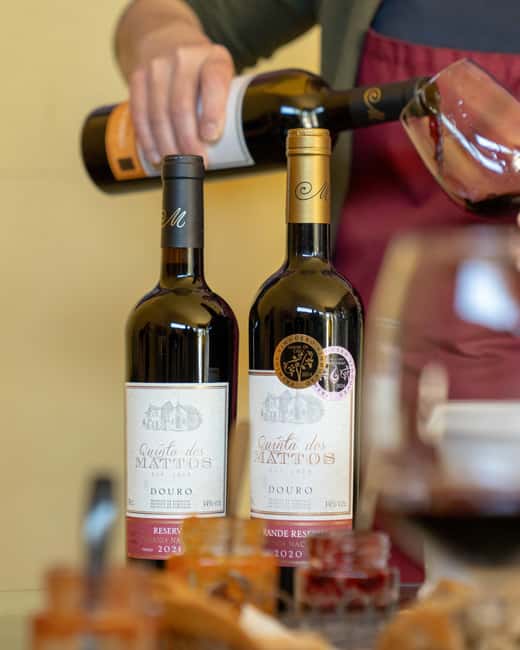 Régua: Wine tasting at a Quinta, traditional lunch, cruise, and train ride - A full day that begins beside the Douro