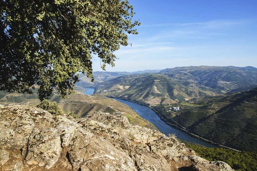 Régua: Wine tasting at a Quinta, traditional lunch, cruise, and train ride - Quinta da Laceira turns lunch into a main event