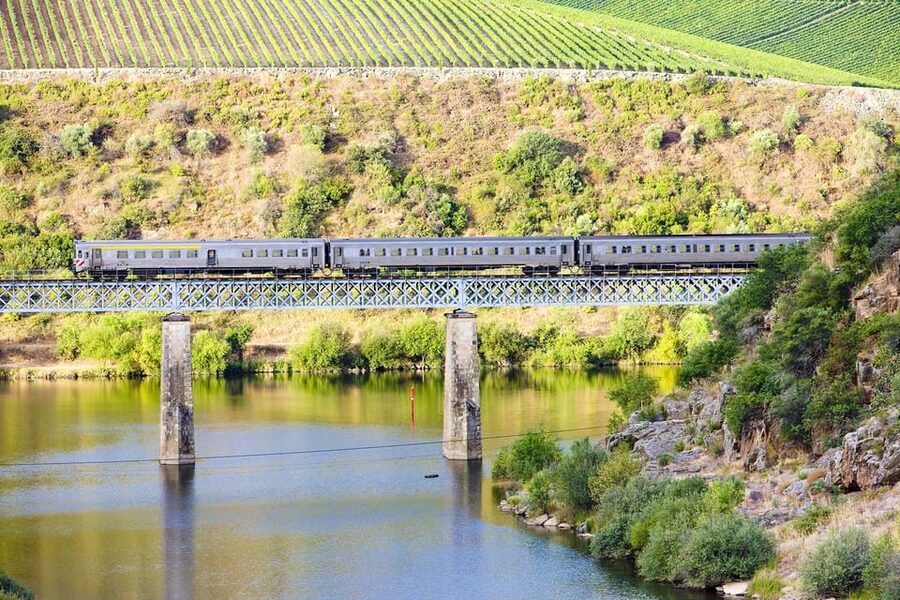 Régua: Wine tasting at a Quinta, traditional lunch, cruise, and train ride - Value, group size, and what you are really paying for