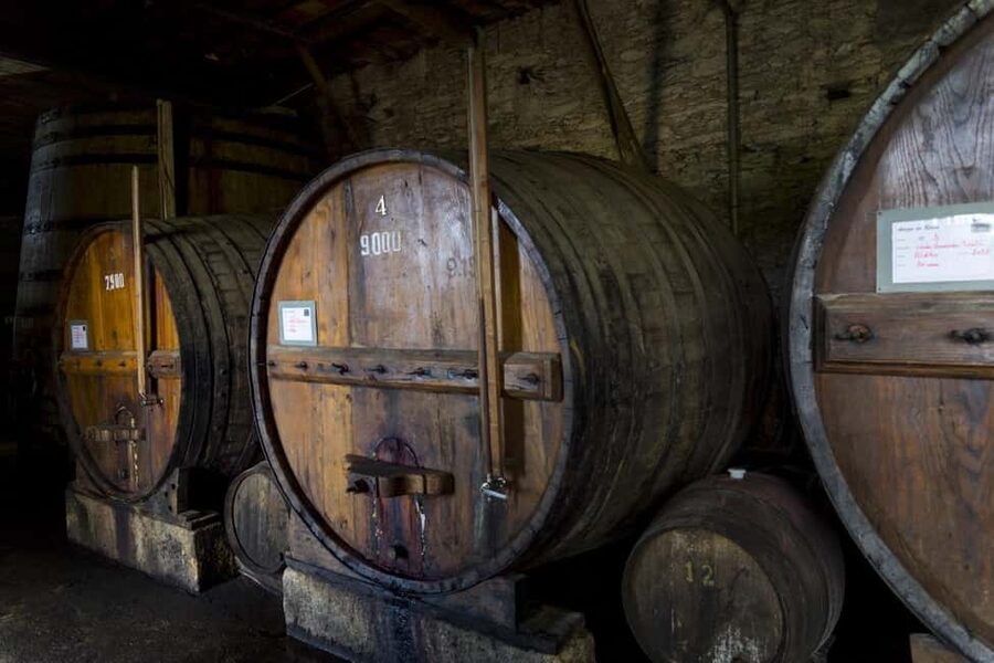 Régua: Wine tasting at a Quinta, traditional lunch, cruise, and train ride - Five wines at Coimbra de Mattos