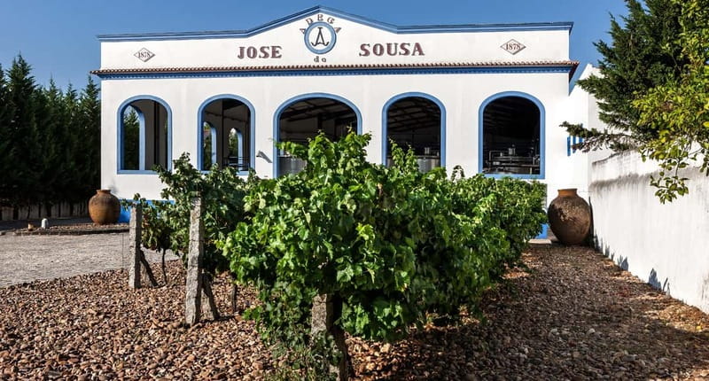 Reguengos de Monsaraz: José de Sousa Winery Tour and Tasting - Starting at the Educational Vineyard