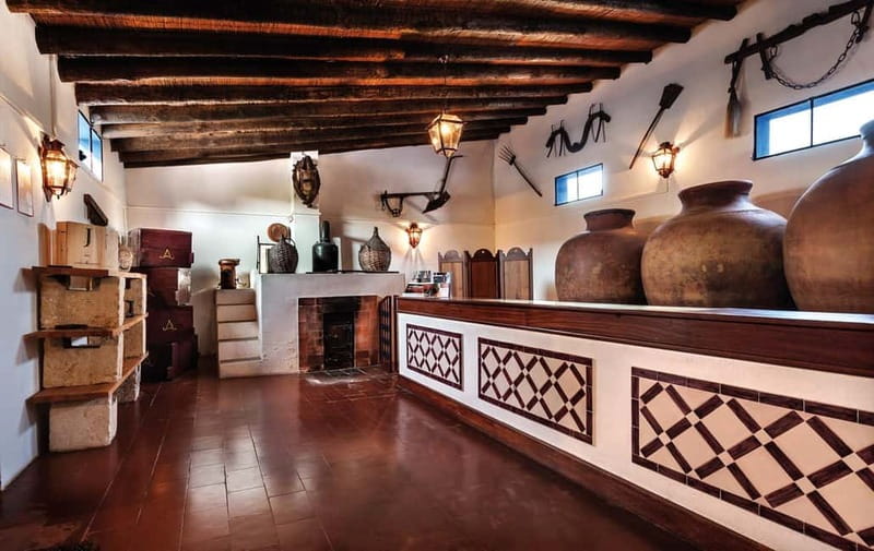 Reguengos de Monsaraz: José de Sousa Winery Tour and Tasting - The Archaeology Room and the Nearly 5-Meter Menir