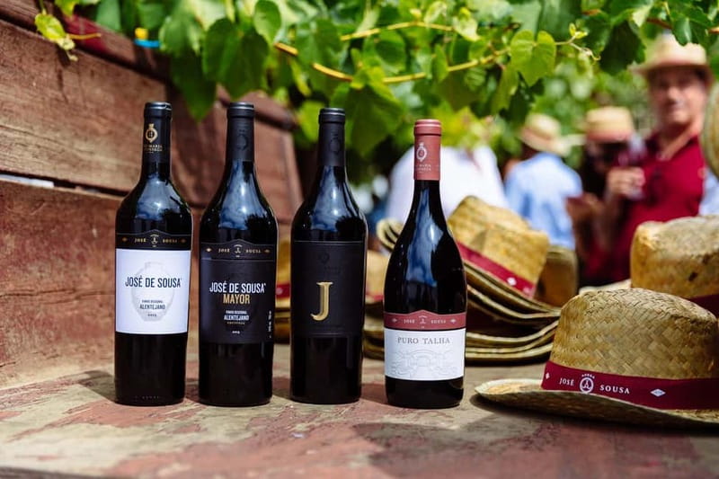 Reguengos de Monsaraz: José de Sousa Winery Tour and Tasting - Entering the Adega dos Potes