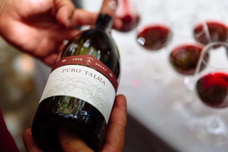 Reguengos de Monsaraz: José de Sousa Winery Tour and Tasting - Who Will Enjoy This Winery Visit Most