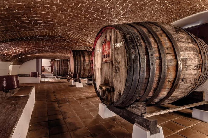 Reguengos de Monsaraz: José de Sousa Winery Tour and Tasting - Inside the Modern Winery’s 44 Stainless Steel Tanks