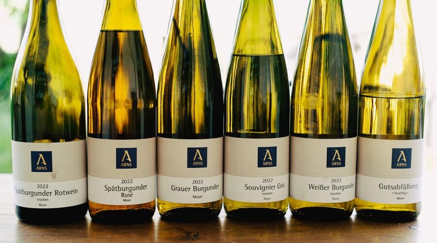 Reil, Mosel: Guided organic wine tasting and cellar tour - Organic Mosel wine, explained at the source