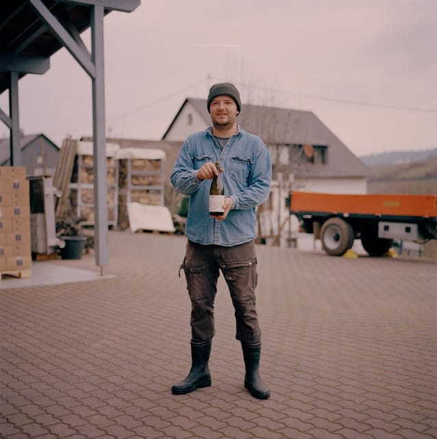 Reil, Mosel: Guided organic wine tasting and cellar tour - Inside the modern cellar