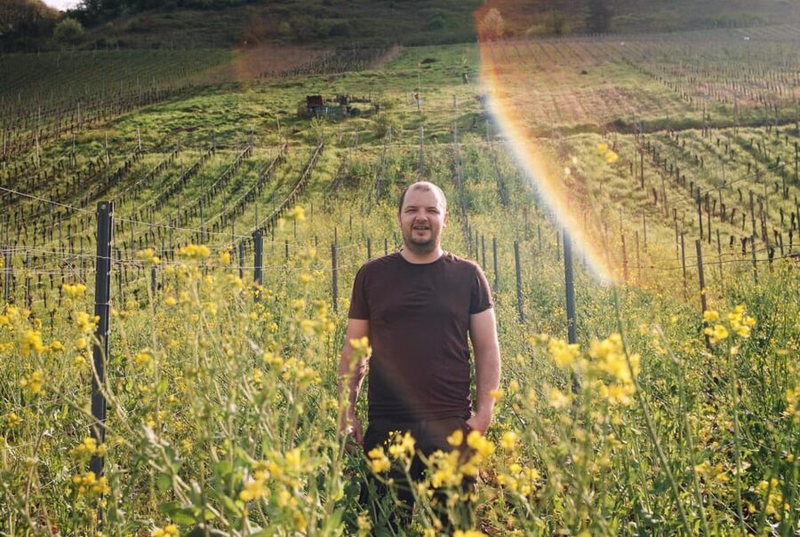 Reil, Mosel: Guided organic wine tasting and cellar tour - Meeting Alexander and the Arns family