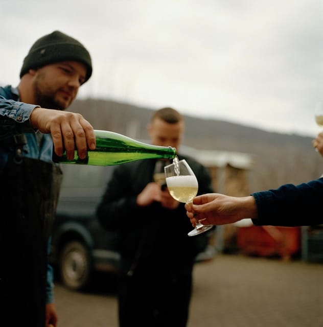 Reil, Mosel: Guided organic wine tasting and cellar tour - One hour among organic vines