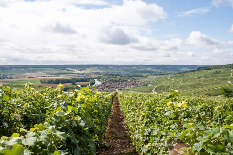 Reims: Champagne House Mumm, Winery Visit with Lunch - Practical advice for a smoother day