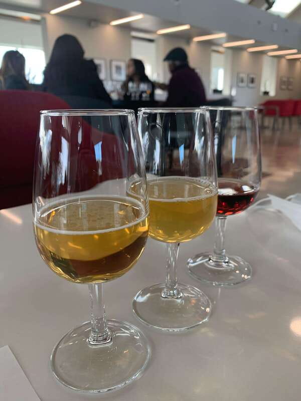 Relaxing Lunch & Wine Tour through Niagara's Wine Country - Key points at a glance