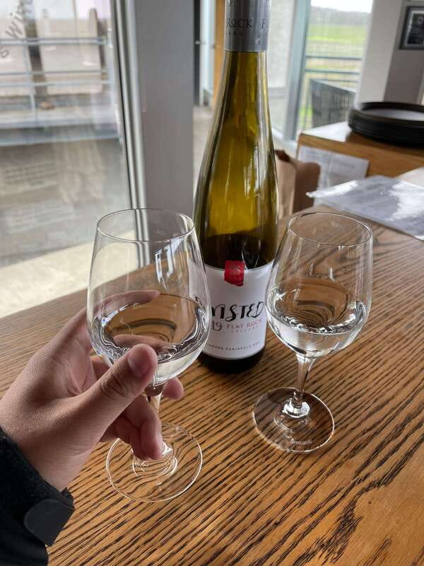 Relaxing Lunch & Wine Tour through Niagara's Wine Country - First tasting: getting to know Niagara wine